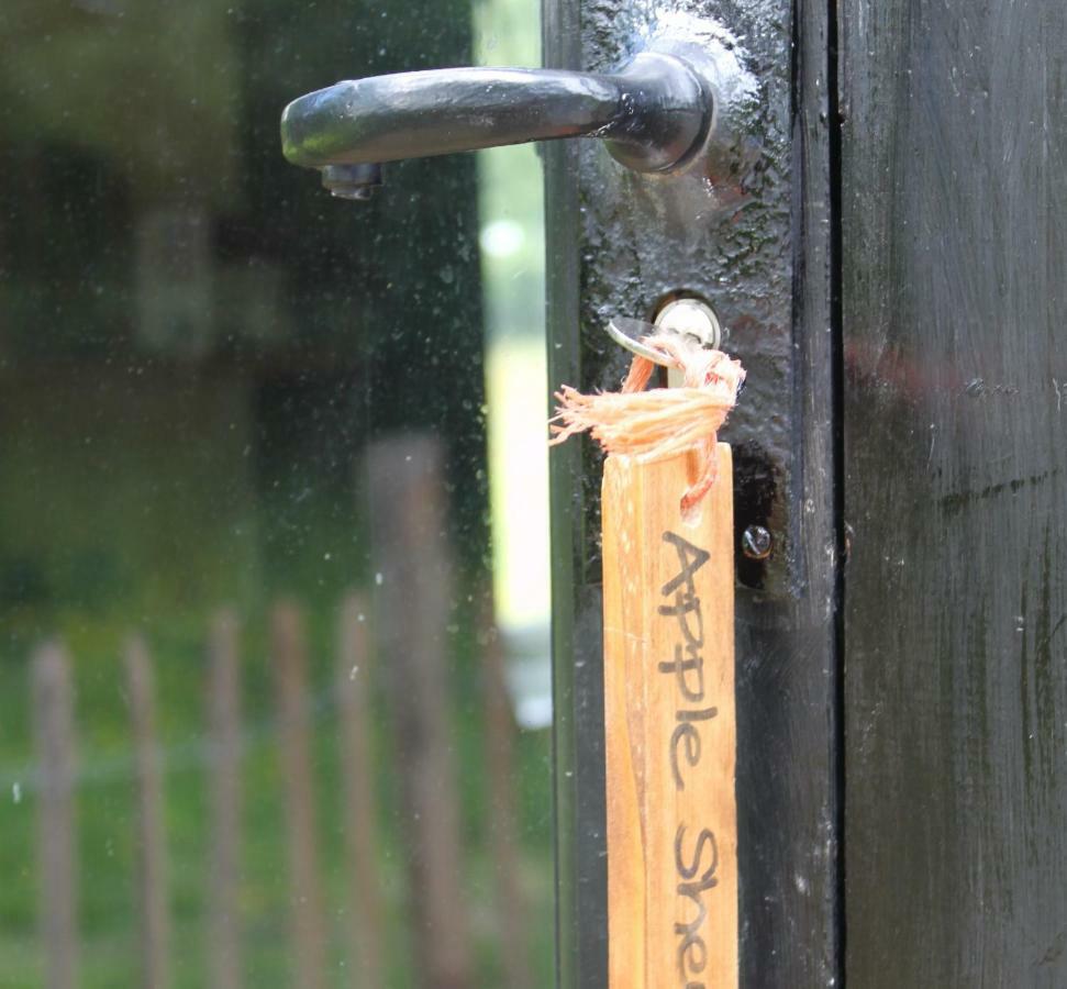The Old Apple Shed Cosy Heated Cottage In A Meadow Close To The Charming Village Of Bethersden Ashford  Exterior photo